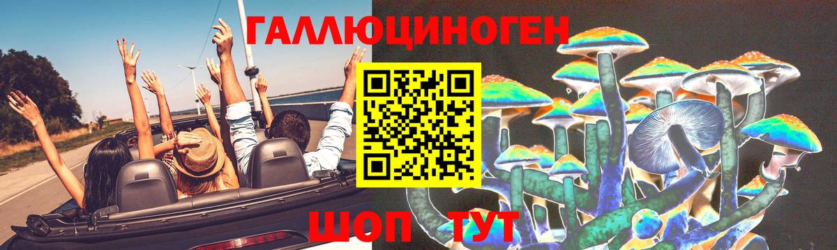 Галлюциногенные грибы мухоморы Отрадный